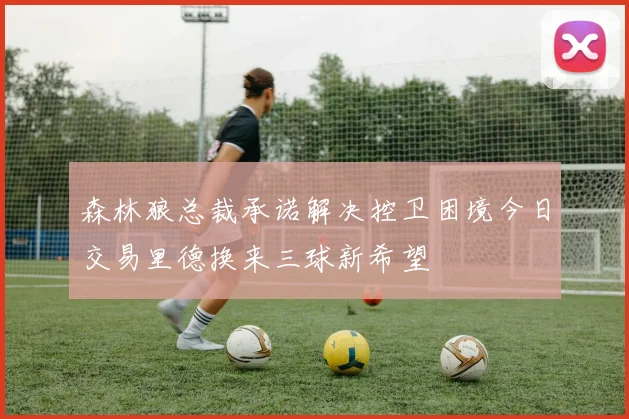 森林狼总裁承诺解决控卫困境今日交易里德换来三球新希望