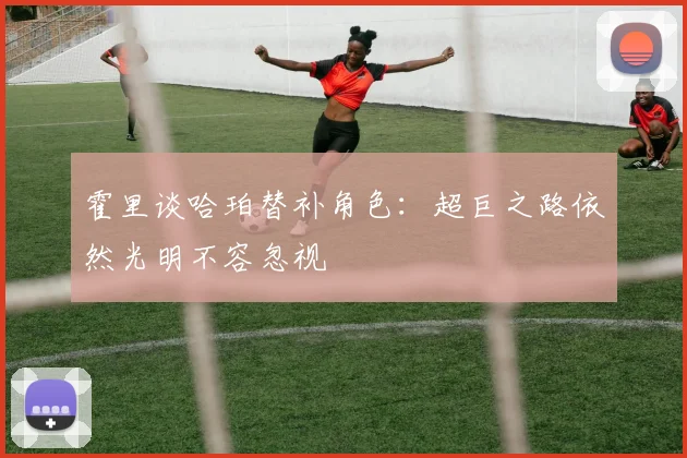 霍里谈哈珀替补角色：超巨之路依然光明不容忽视