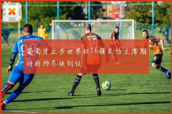 葡萄牙止步世界杯16强足协主席期待新帅尽快到位